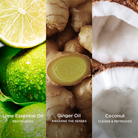 Close-up collage of key natural ingredients used in Tropic’s Desert Lime & Ginger range. On the left, fresh green limes labelled “Lime Essential Oil – Revitalising,” in the center, sliced ginger labelled “Ginger Oil – Awakens the Senses,” and on the right, coconut halves labelled “Coconut – Cleans & Refreshes.
